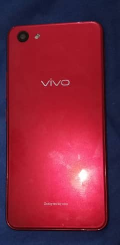 vivo