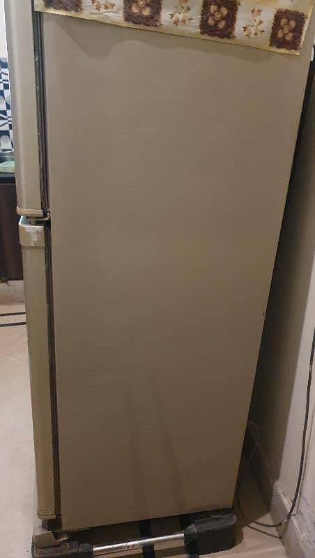 Dawlence Refrigerator Medium Size 2