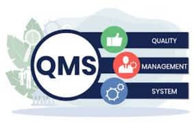 Expert Quality Management Services for Your Business