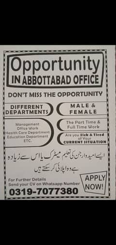 job& business opportunity