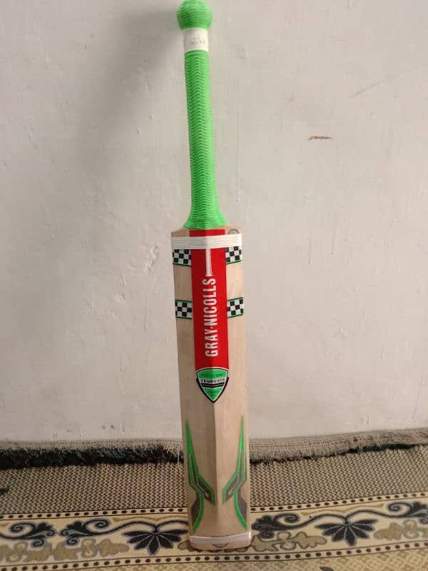 cricket bat 1