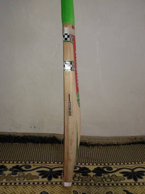 cricket bat 2