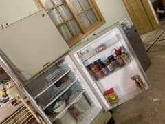 PEL Refrigerator