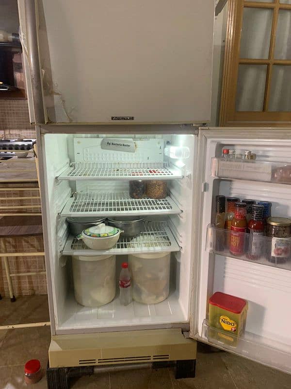 PEL Refrigerator 2