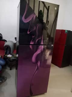 jumbo  size lpel fridge glass door full werrenty