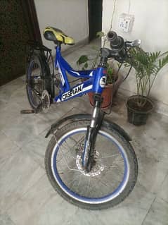 Bicycle for sale