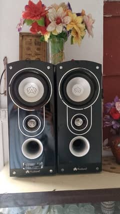 Audionic Home Theater