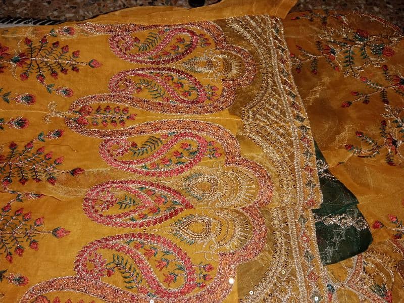 new dress for wedding wear in Pakistan 3