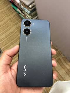 Vivo