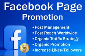 Facebook Page Promotion 10k Followers (Life Time Gauranteed)