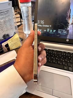 Apple 12 Pro Max 256 Gb FU Gold