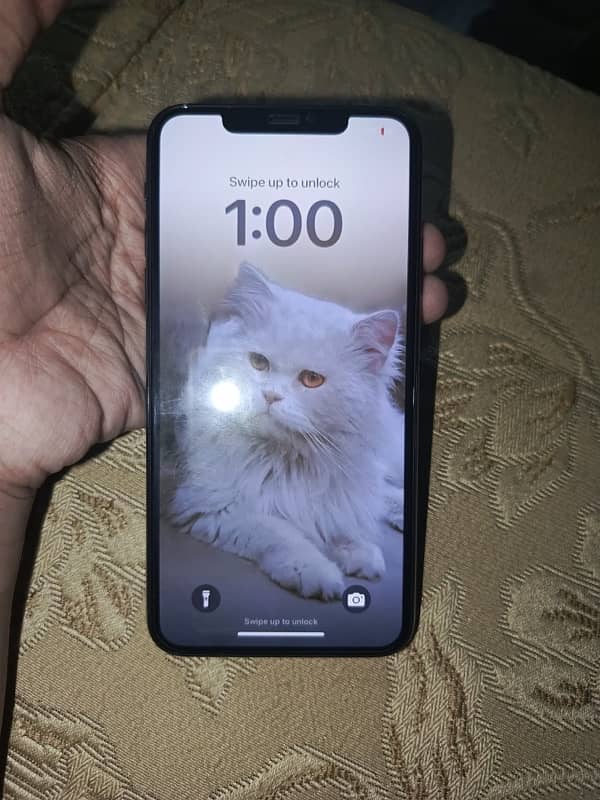 iPhone 11 Pro Max | 256GB 4