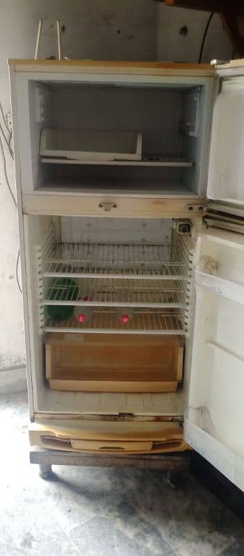 PEL Fridge 1