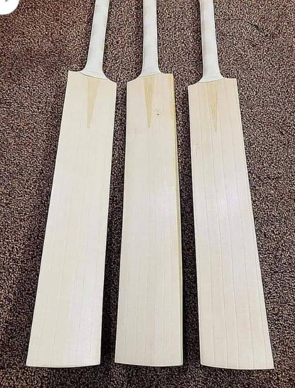 English Willow Cricket Bat 0