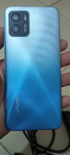 Vivo