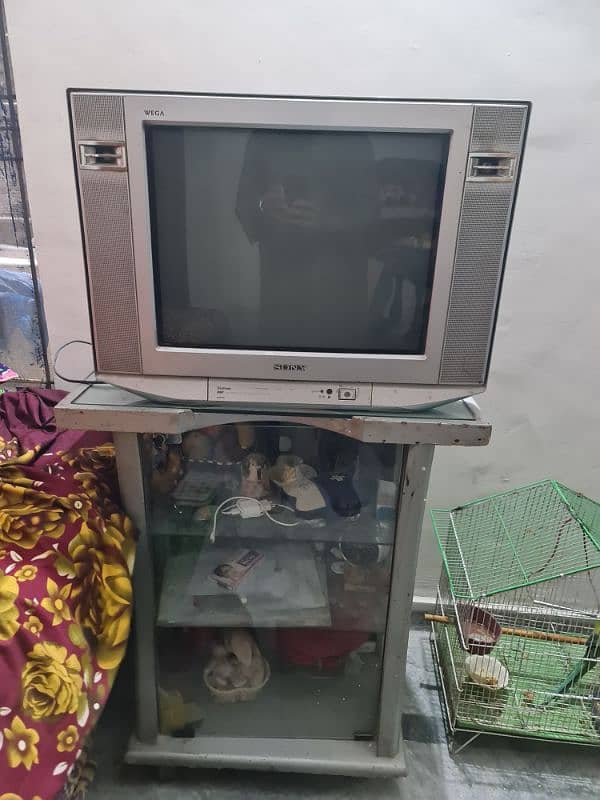 Sony Tv with trolley 1