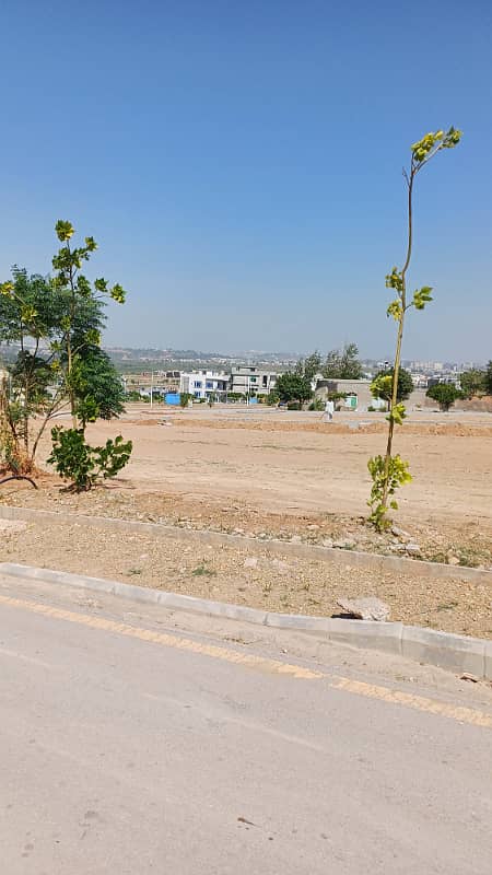 5 marla Residential plot for sale 3