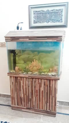 Fish Aquarium