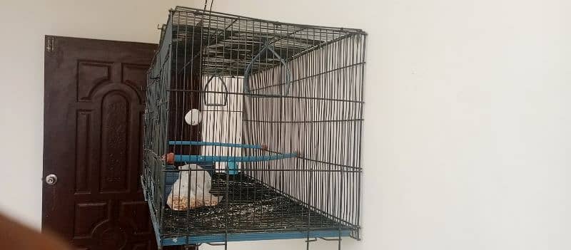 BIg Size cage 3