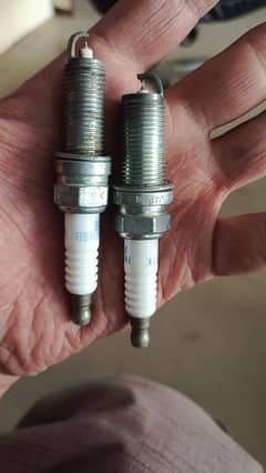 toyota Corolla honda civic spark plugs single & duel Iridium available