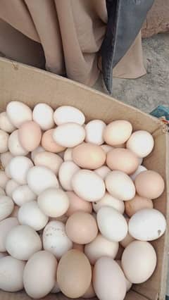 Original Desi Eggs. 450. Rs Dozen