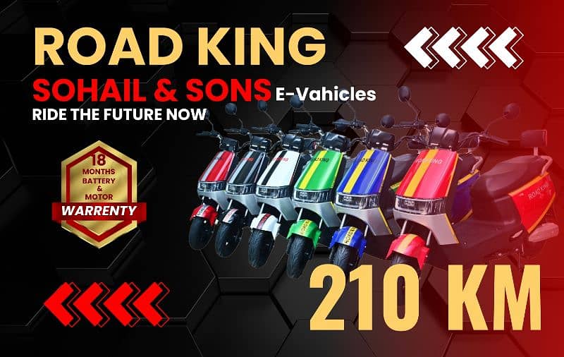 Road King | Electric Scooter/Scooty | Electric bike 0