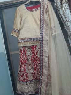 lehanga choli