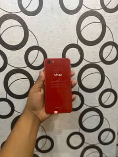 Vivo