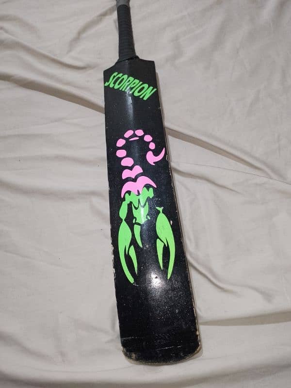 Scorpion Cricket Bat 2