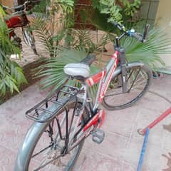 grey bicycle for sale