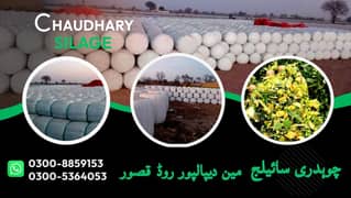 Corn Silage/Maki Silage/Animal Feeds 0