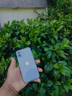 Iphone 12 non pta 128gb