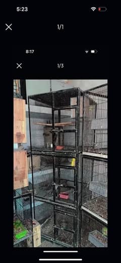 Birds Cage 03094337059