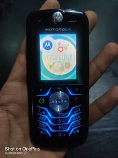 Motorola L6 In Neat Condition