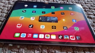 ipad pro m2 Complete Box 5 month used 7 month official apple warranty