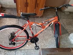 Mountain Bike for Sale 0