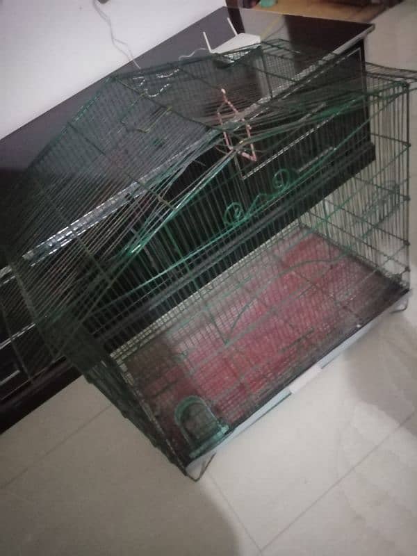 birds Cage 0