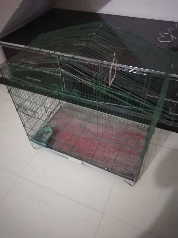 birds Cage 1