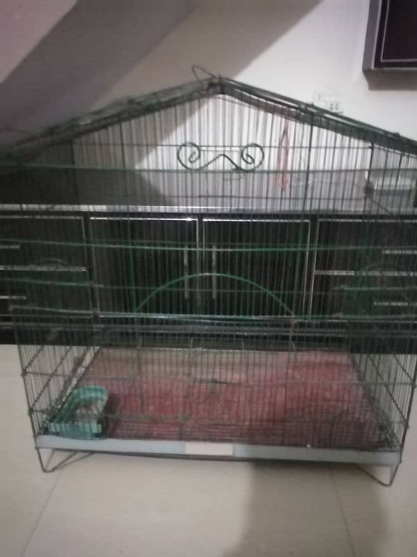 birds Cage 2