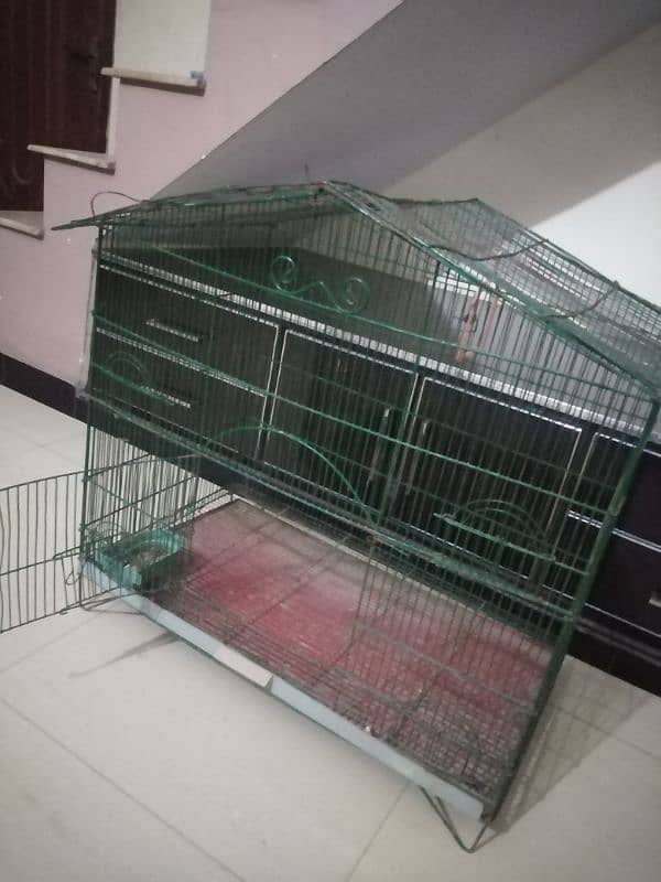 birds Cage 4