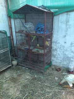 cage for birds