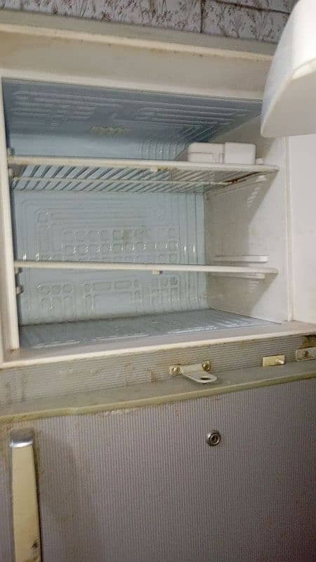 full size fridge 2