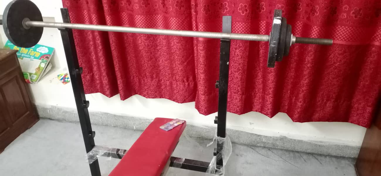 Exercise Bench Dumbles Gym Plates 2