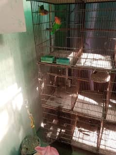 birds Cage 9 box