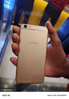 vivo