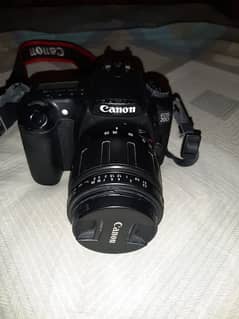 Canon DSLR camera 20D