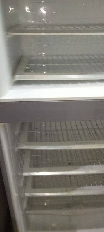 pel Fridge for sale 3