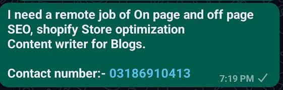 Remote job On AND OFF PAGE SEO 0