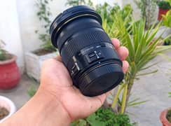 Canon Sigma 17-50mm f2.8 OS DC HSM (10/10)