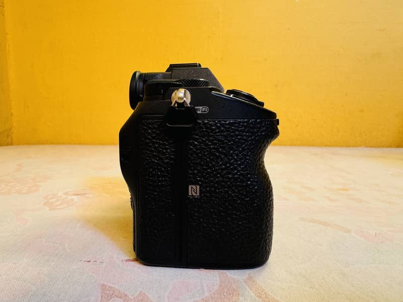 Sony Alpha a7III Mirrorless Camera (Body Only) 2